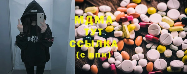 СК Алексин