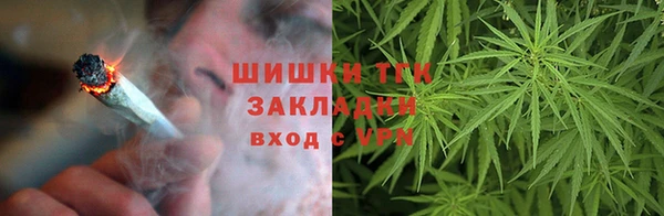 СК Алексин