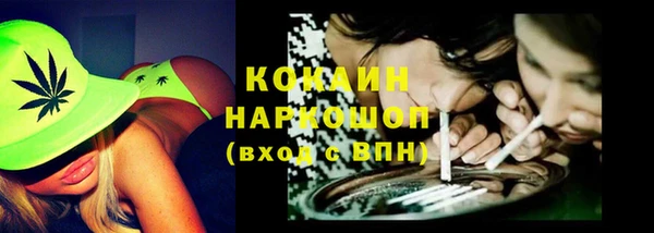 СК Алексин