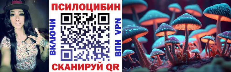 купить закладку  Жигулёвск  Псилоцибиновые грибы мухоморы 